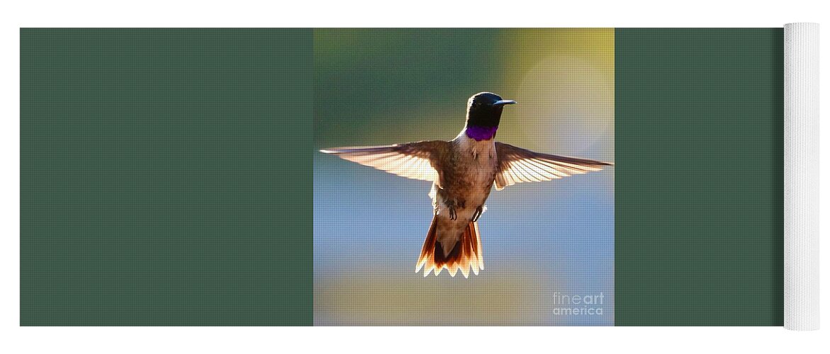 Hummingbird Yoga Mat featuring the photograph Super Hummingbird #1 by Carol Groenen