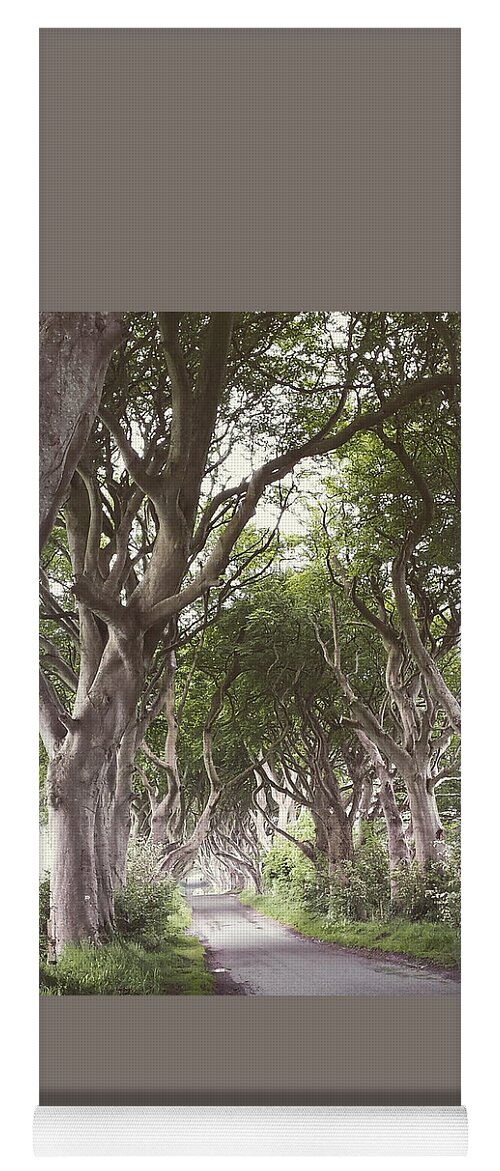 Got Yoga Mat featuring the photograph The Dark Hedges G.O.T by Joelle Philibert