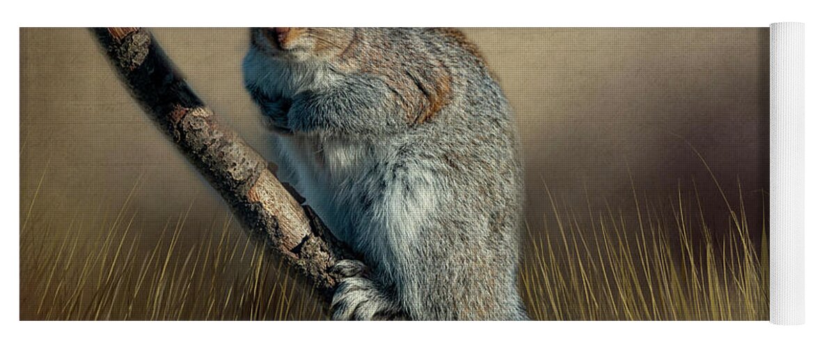 Nature Yoga Mat featuring the photograph The Squirrel #1 by Cathy Kovarik