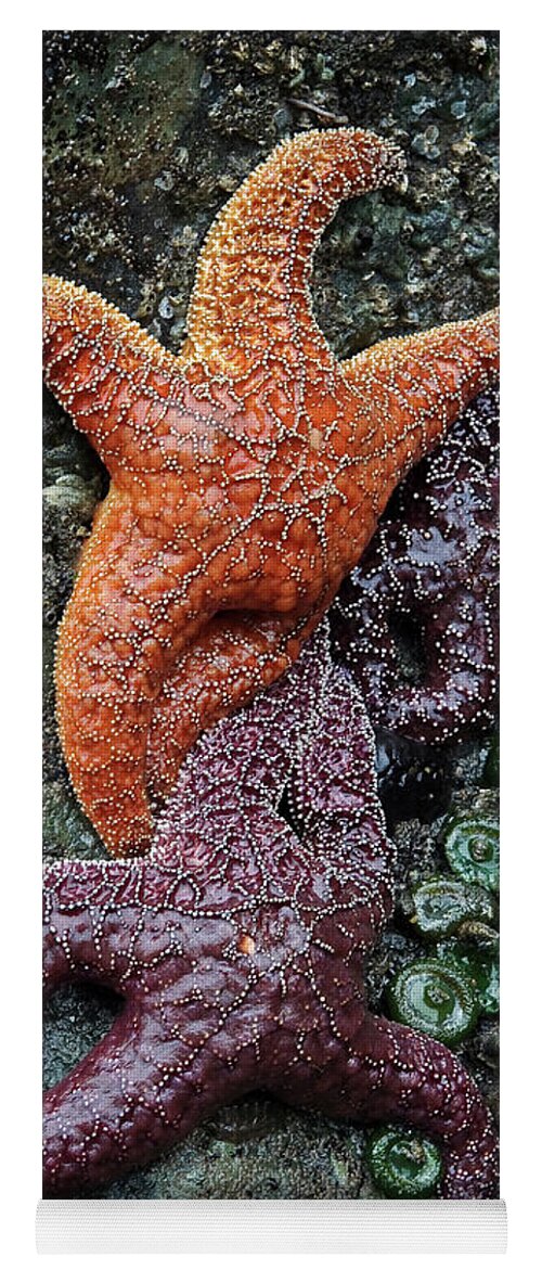 Olympic National Park Yoga Mat featuring the photograph Tide Pool #1 by Paul Schultz