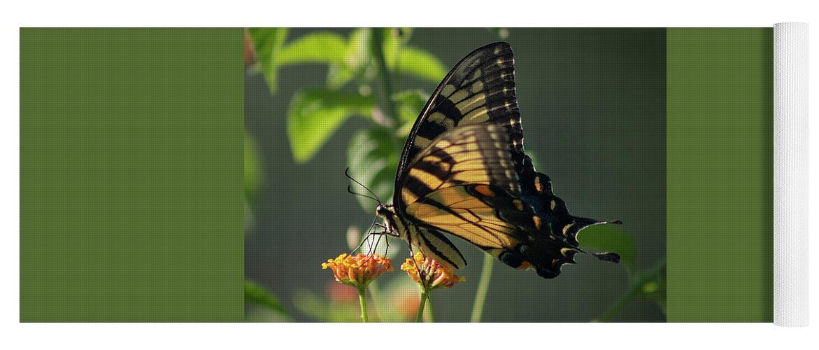 Photograph Yoga Mat featuring the photograph Tiger Swallowtail Butterfly III #1 by Suzanne Gaff
