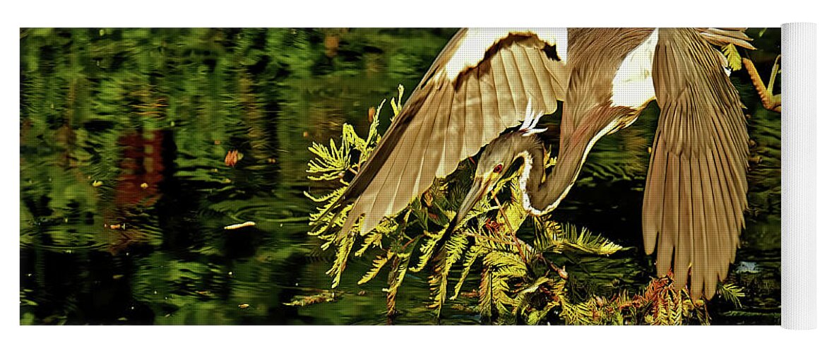 Tricolored Heron Yoga Mat featuring the photograph Tricolored Heron #2 by Stuart Harrison
