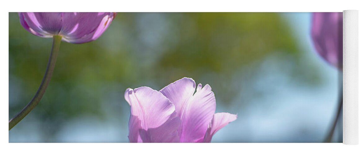 Tulip Yoga Mat featuring the photograph Tulip 3 by Kathy Paynter