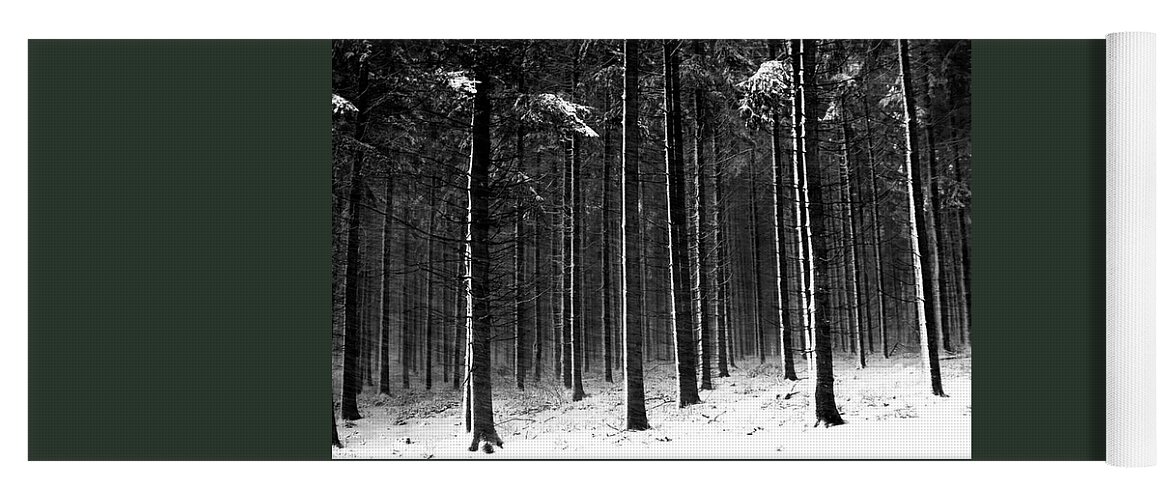 Trees Yoga Mat featuring the photograph Winter Woods in Black and White by Robert Dann