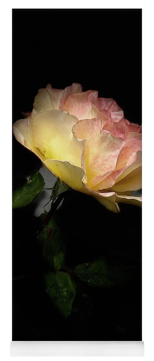 Rose Yellow Pink Flower Green Stem Black Background Sandiego Background Iphone Yoga Mat featuring the digital art Yellow and Pink Rose on Black #1 by Kathleen Boyles