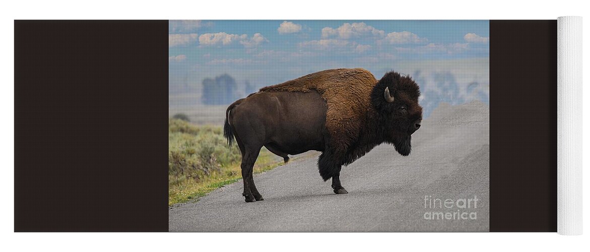 Yellowstone Bison Yoga Mat featuring the digital art Yellowstone Bison #1 by Tammy Keyes