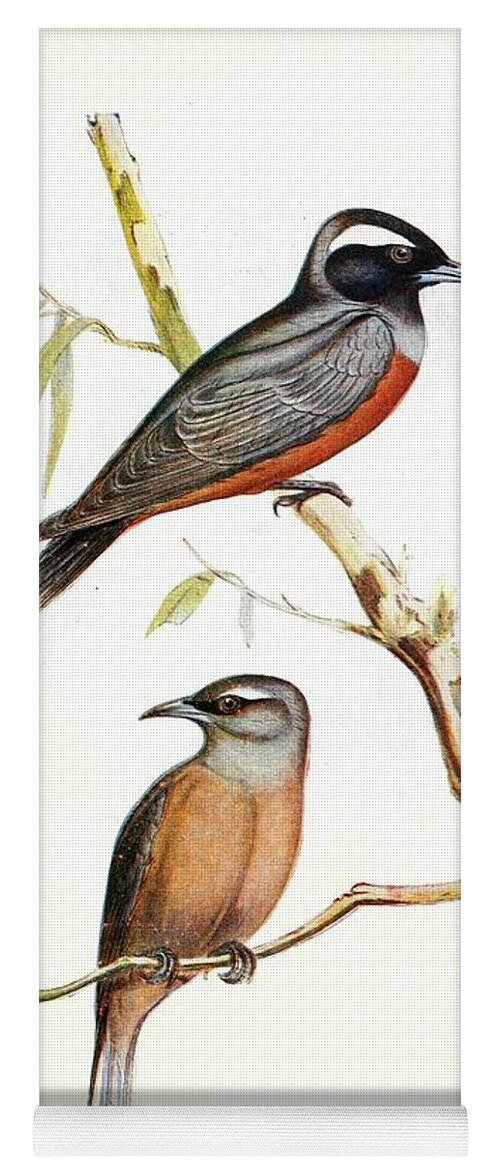Birds Yoga Mat featuring the mixed media Beautiful Vintage Bird #1050 by World Art Collective