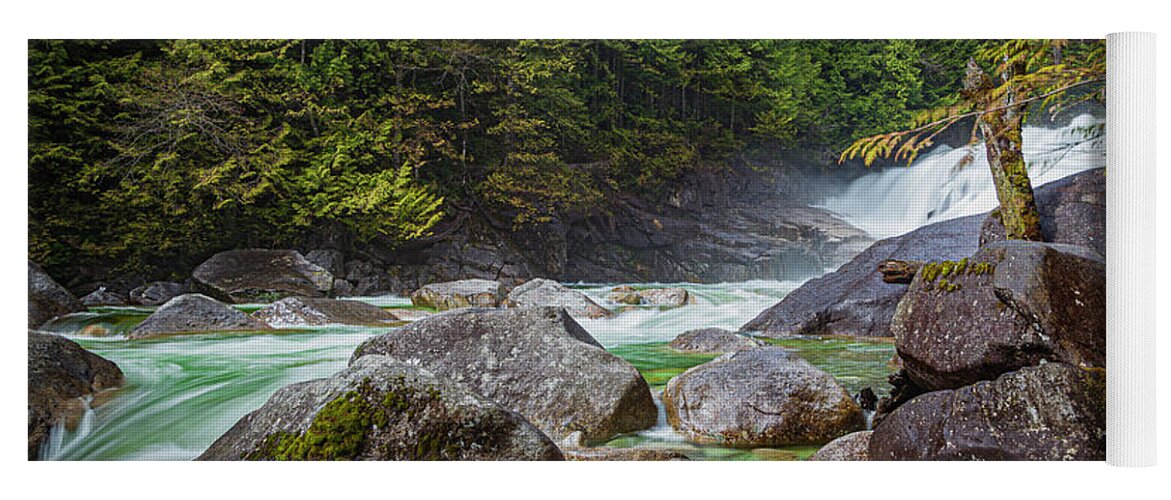 _canada-golden-ears Yoga Mat featuring the photograph The Woods by Tommy Farnsworth
