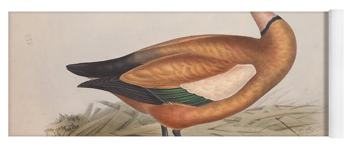 Ducks Yoga Mat featuring the mixed media Beautiful antique waterfowl #142 by World Art Collective