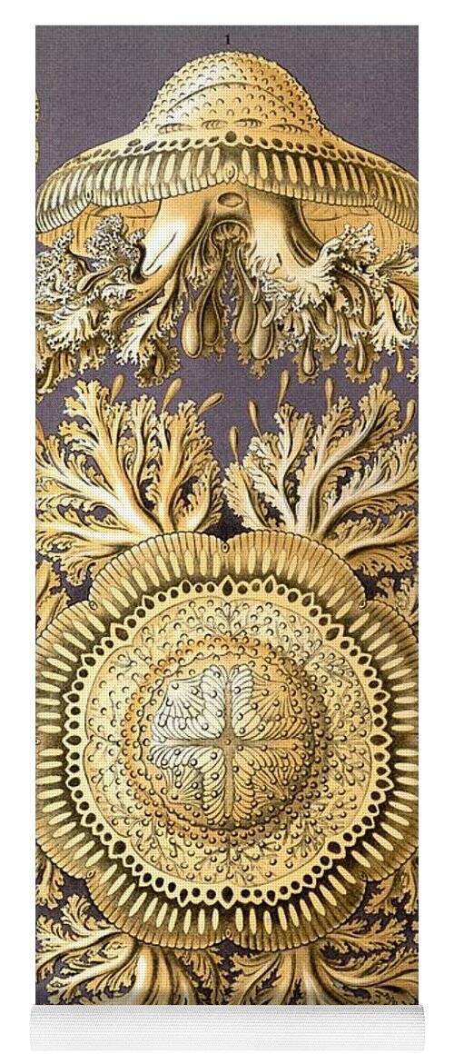 Ernst Haeckel Yoga Mat featuring the mixed media Ernst Haeckel Illustrations #18 by World Art Collective