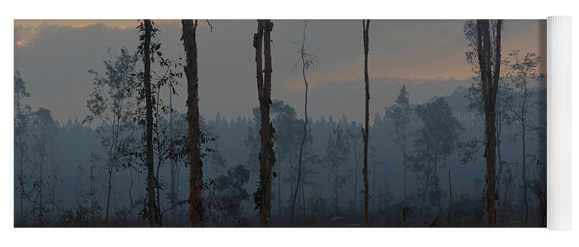 Deforestation Yoga Mat featuring the photograph 1808pineforest8 by Nicolas Lombard