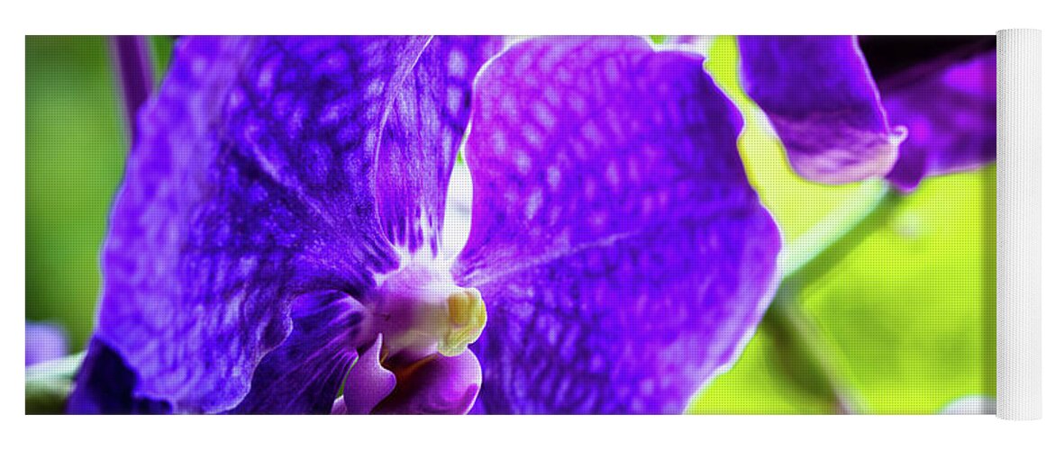 Background Yoga Mat featuring the photograph Purple Orchid Flowers #19 by Raul Rodriguez