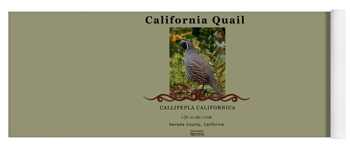 Quail Yoga Mat featuring the digital art California Quail #2 by Lisa Redfern