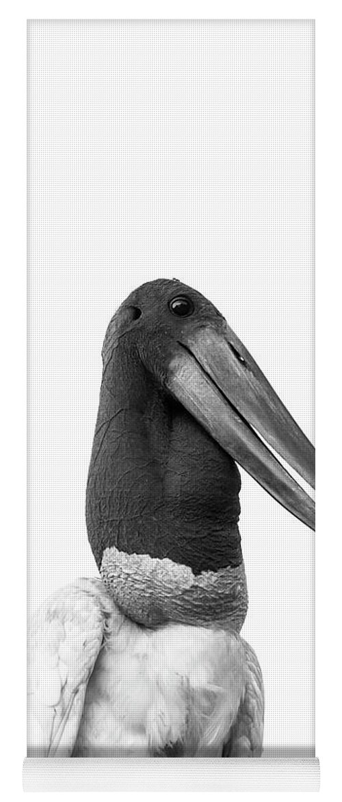 Jabiru Yoga Mat featuring the photograph Jabiru Stork #2 by Patrick Nowotny