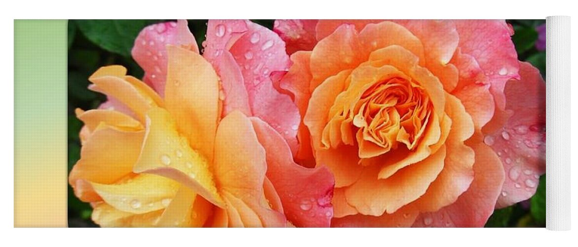 Roses Yoga Mat featuring the photograph 2 Magnificent Roses by Nancy Ayanna Wyatt