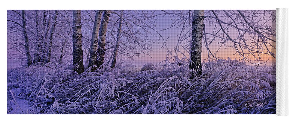 Winter Yoga Mat featuring the photograph Winter Frost #2 by Dan Jurak