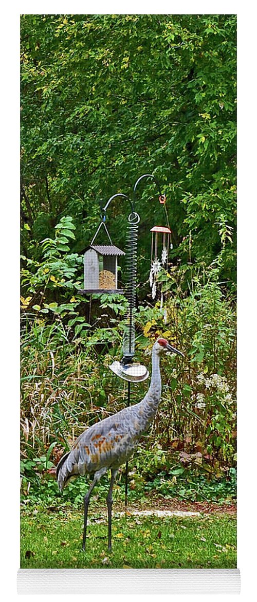 Sandhill Cranes; Backyard; Birds; Yoga Mat featuring the photograph 2021 Fall Sandhill Cranes 7 by Janis Senungetuk