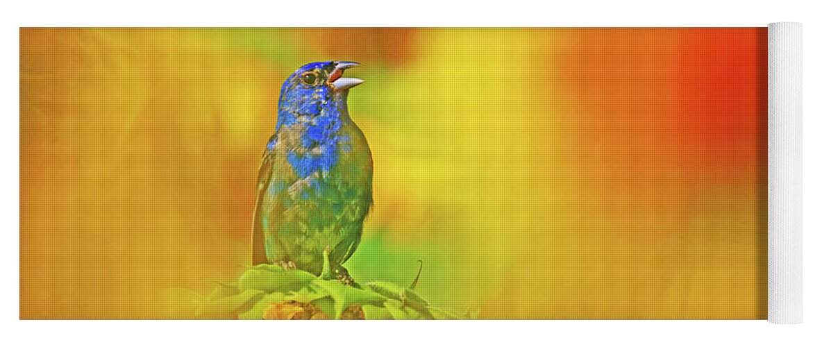 Indigo Bunting Yoga Mat featuring the photograph An Indigo Bunting Perched on a Sunflower #3 by Shixing Wen