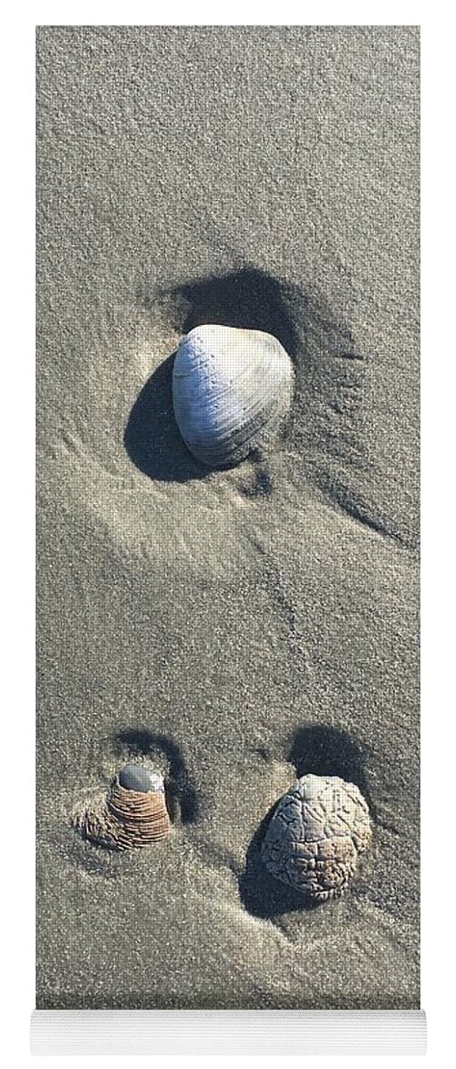 Seashells Yoga Mat featuring the photograph 3 Seashells by Mary Kobet