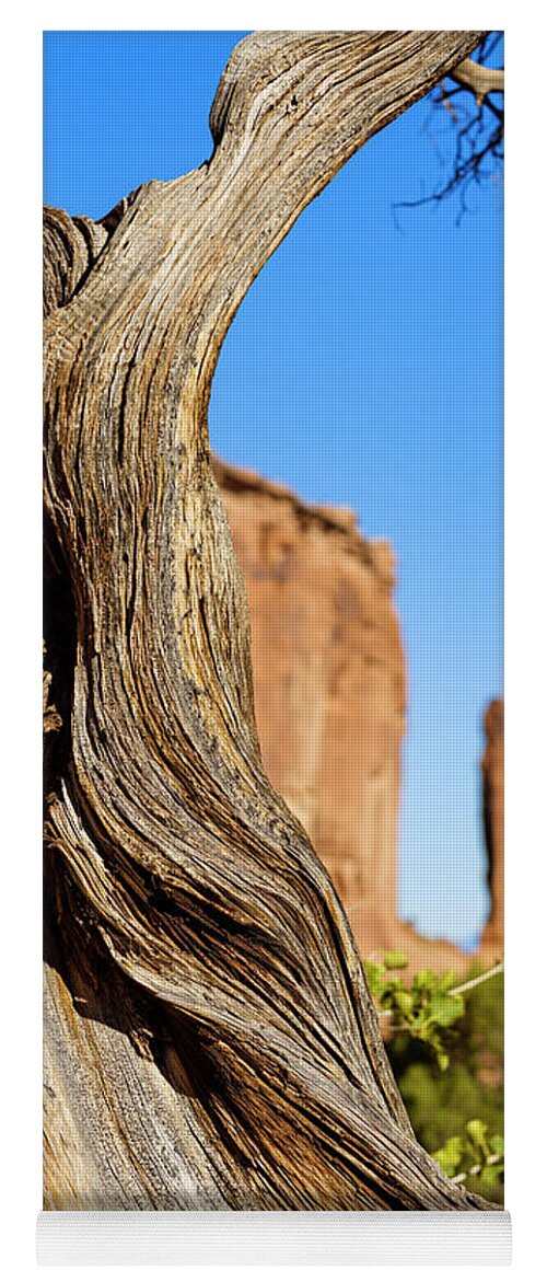 Arches National Park Yoga Mat featuring the photograph Arches National Park #32 by Raul Rodriguez