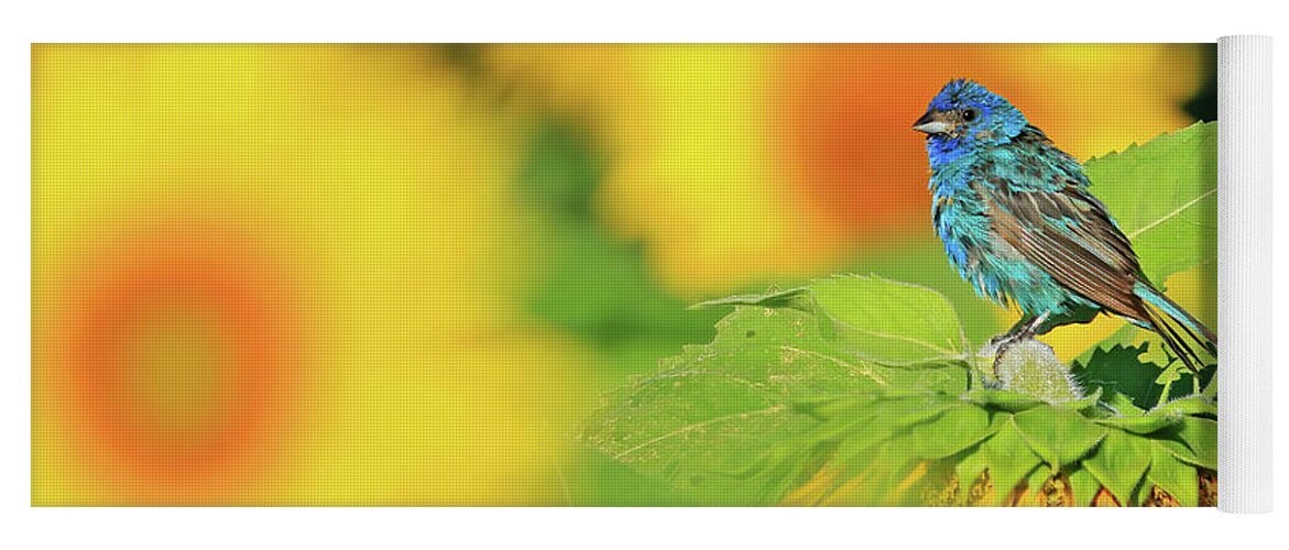 Indigo Bunting Yoga Mat featuring the photograph An Indigo Bunting Perched on a Sunflower #4 by Shixing Wen