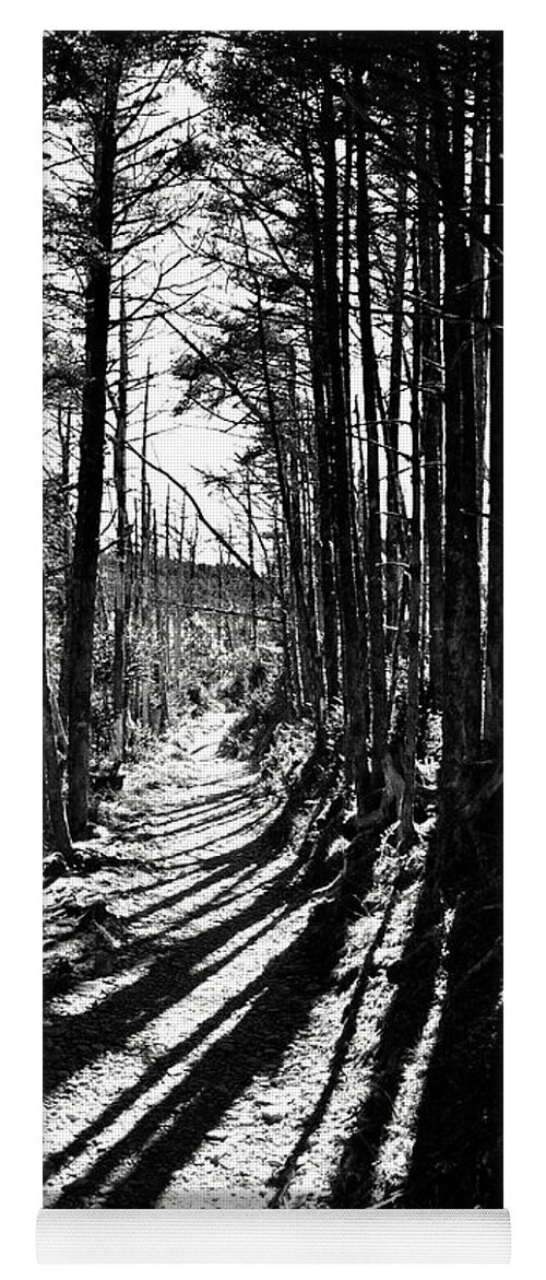 Smoky Mountains Yoga Mat featuring the photograph Black And White Trail #4 by Phil Perkins