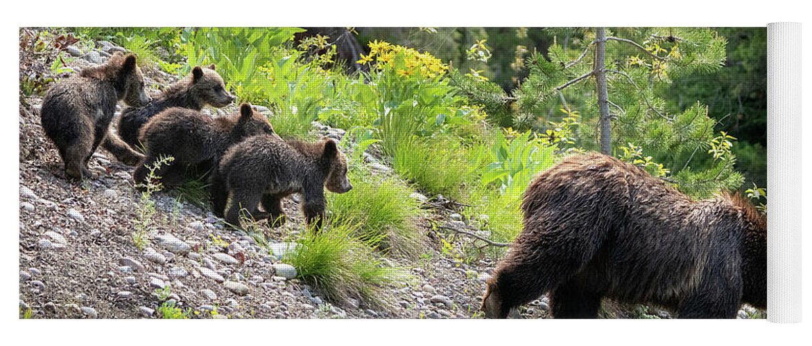 Bear Yoga Mat featuring the photograph 4 Cubs with Mama Grizzly Bear #399 by Wesley Aston