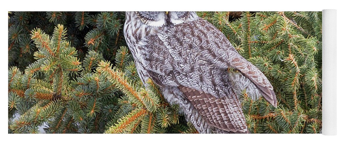 Sax Zim Bog Yoga Mat featuring the photograph Great Gray Owl #4 by Paul Schultz