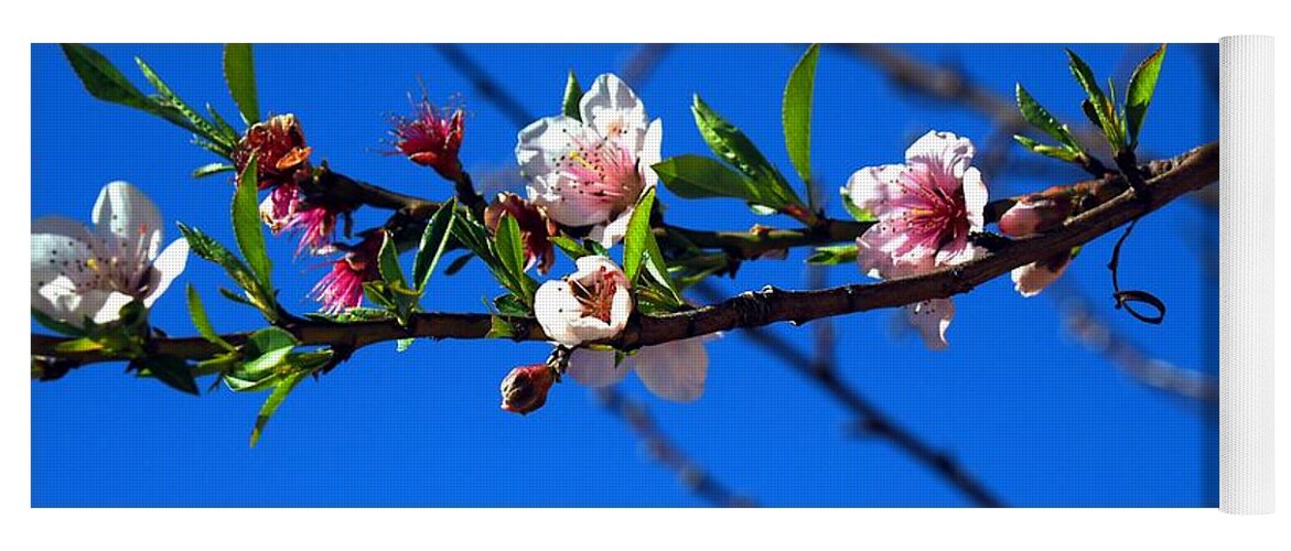 Botanical Yoga Mat featuring the photograph Winter Peach Blossoms #4 by Richard Thomas