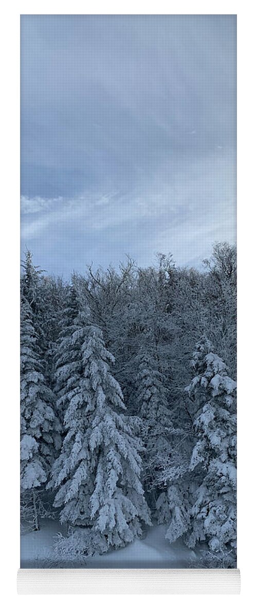  Yoga Mat featuring the photograph Winter Wonderland by Annamaria Frost