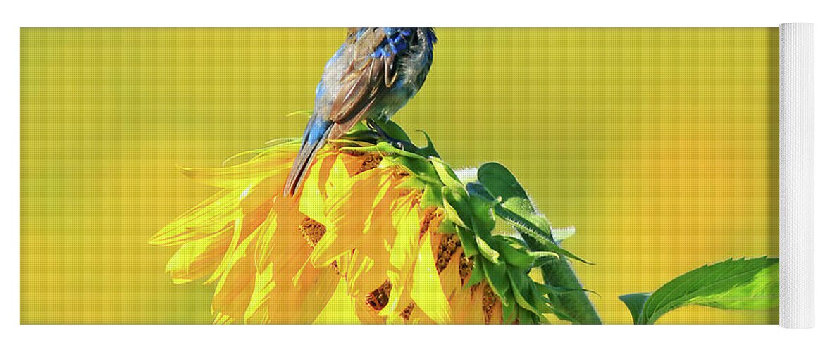 Indigo Bunting Yoga Mat featuring the photograph An Indigo Bunting Perched on a Sunflower #5 by Shixing Wen