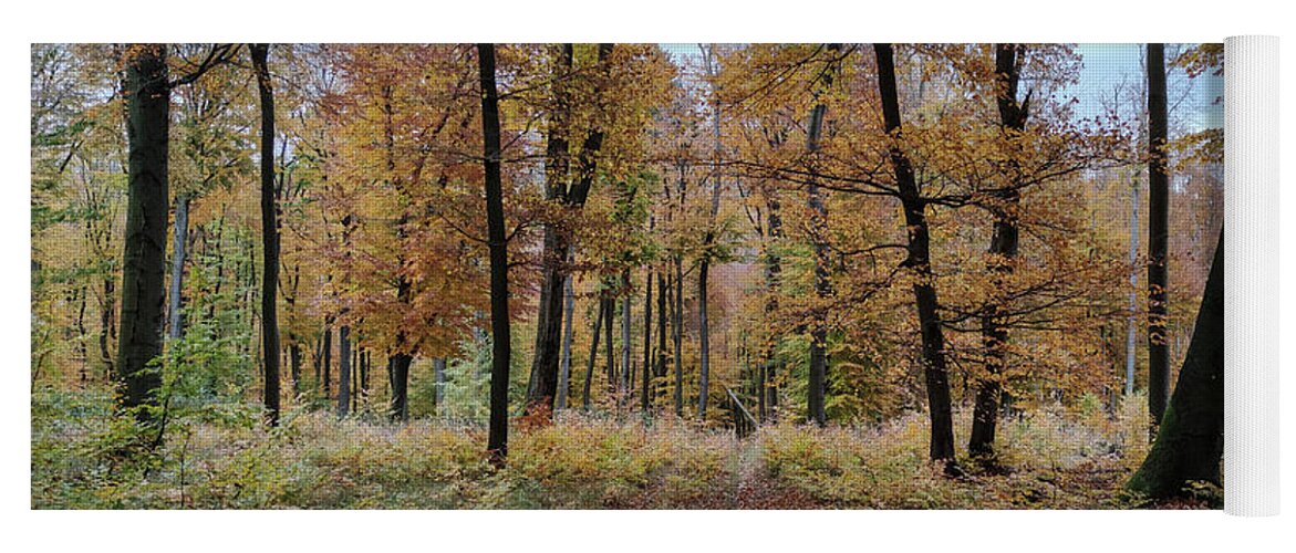 Autumn Colors Yoga Mat featuring the photograph Autumn in the Forest #6 by Robert Grac
