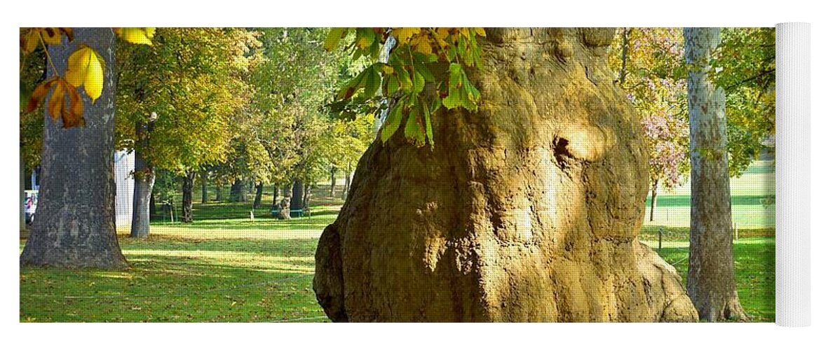Trees Yoga Mat featuring the photograph Parco Cavour. Ottobre 2016 #1 by Marco Cattaruzzi