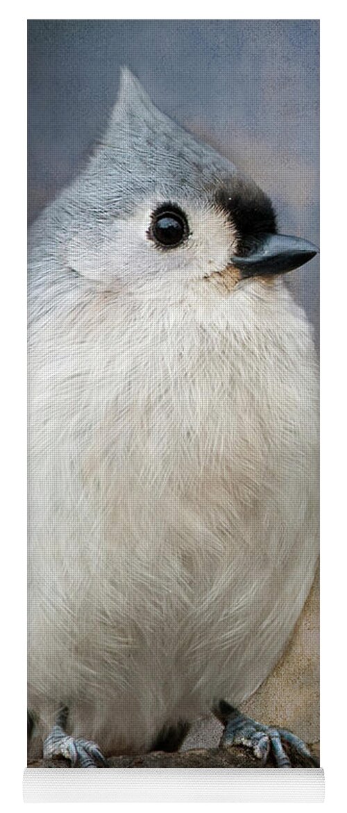 Tufted Titmouse Yoga Mat featuring the photograph Tufted Titmouse #6 by Diane Giurco
