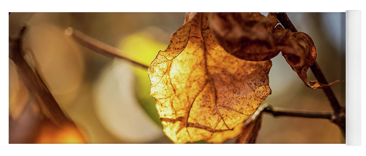 Landscape Yoga Mat featuring the photograph Nature Photography - Fall Leaves #7 by Amelia Pearn