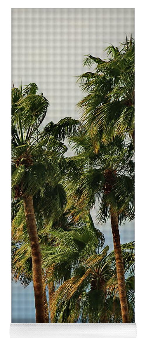 Russ Harris Fine Art Photographer Published La Jolla California Yoga Mat featuring the photograph 7 Palms - Palm Desert by Russ Harris