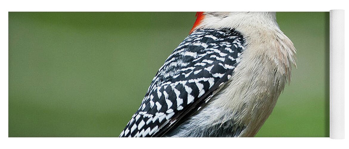 Male Red-bellied Woodpecker Yoga Mat featuring the photograph Male Red-bellied Woodpecker #8 by Diane Giurco