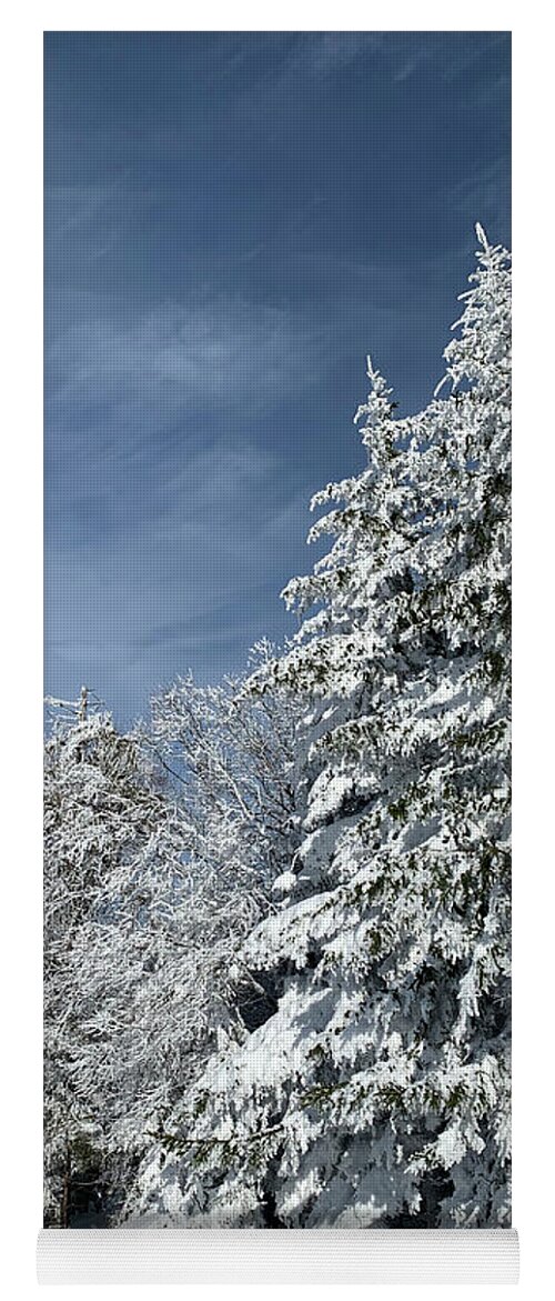  Yoga Mat featuring the photograph Winter Wonderland by Annamaria Frost