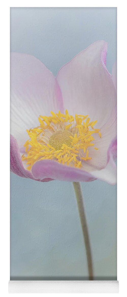Anemone Yoga Mat featuring the photograph A Anemone / Windflower by Sylvia Goldkranz