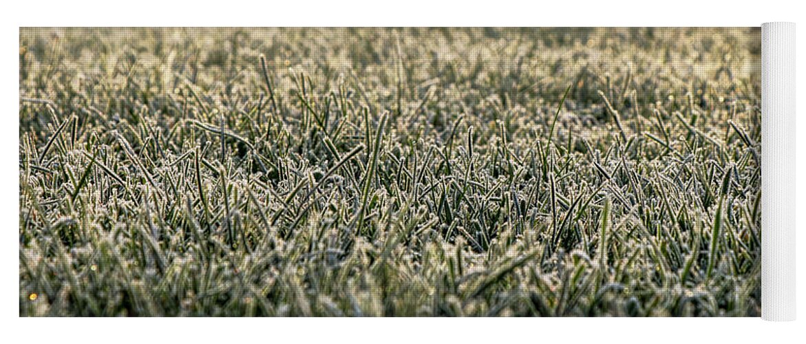 Environment Yoga Mat featuring the photograph Frozen green grass by Vaclav Sonnek