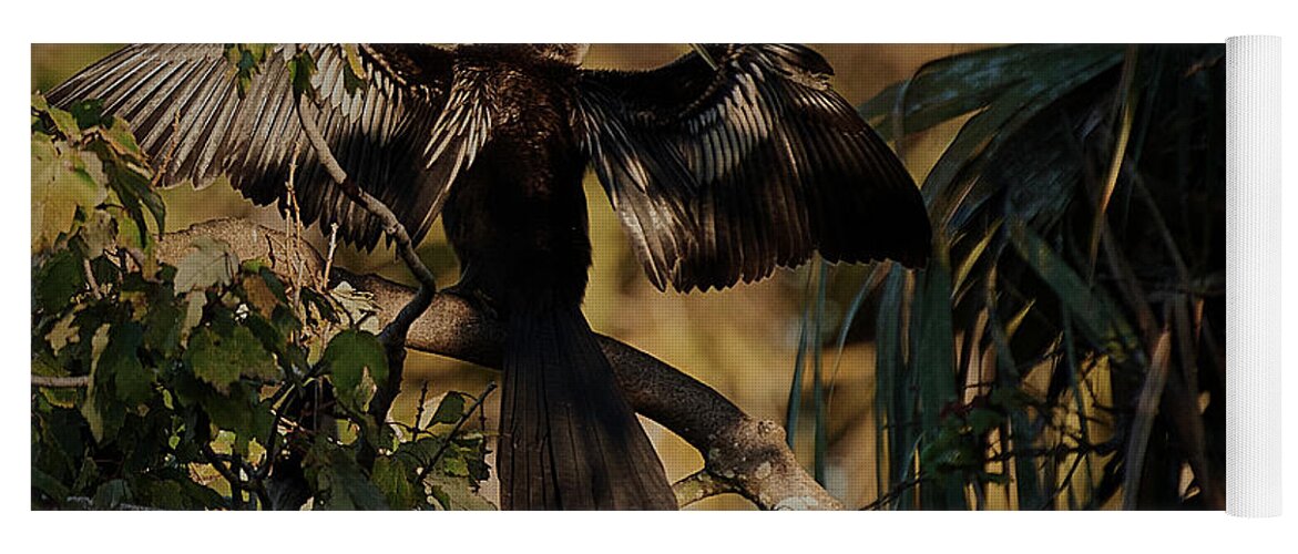 Florida Yoga Mat featuring the photograph A Cormorant Dries its Wings by John Simmons