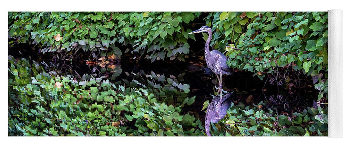 Bronx River Yoga Mat featuring the photograph A Great Blue Heron and Its Refection by Kevin Suttlehan