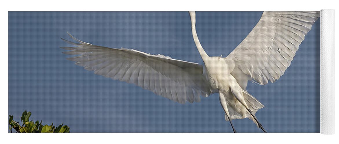 Egret Yoga Mat featuring the photograph A Great Egret by Susan Candelario