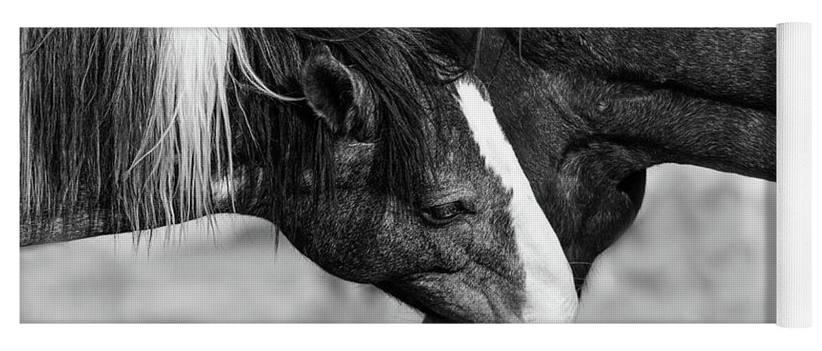 Wild Horses Yoga Mat featuring the photograph A little Tenderness by Mary Hone