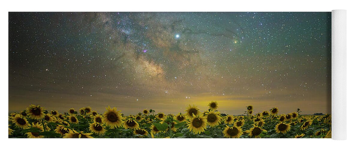 Sunflowers Yoga Mat featuring the photograph A Million Suns by Aaron J Groen