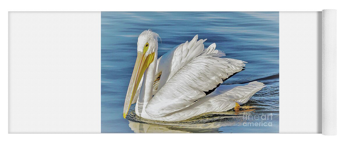 White Pelican Yoga Mat featuring the photograph A nice day for cruising on the water by Joanne Carey