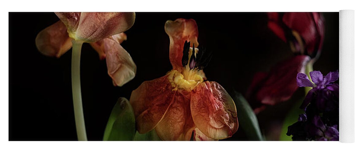 Tulips Flowers Floral Botany Botanical Still Life Vase Abundant Accent Aromatic Arranged Artful Artistic Beautiful Blooming Blossoming Budding Colorful Jewel-toned Luxurious Yoga Mat featuring the photograph A Passing Fancy by William Fields