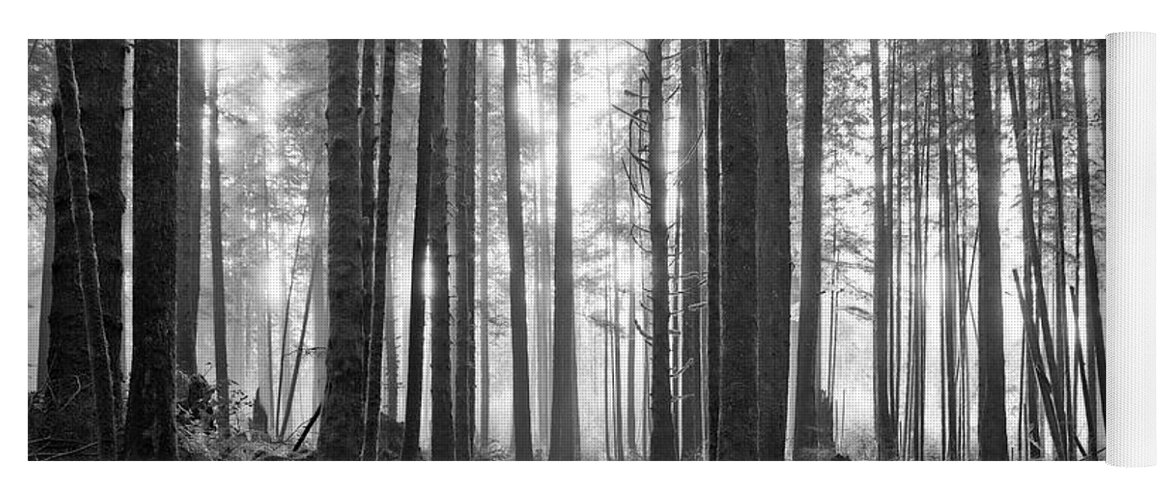Landscape Yoga Mat featuring the photograph A Path Through The Old Growth Black and White by Allan Van Gasbeck
