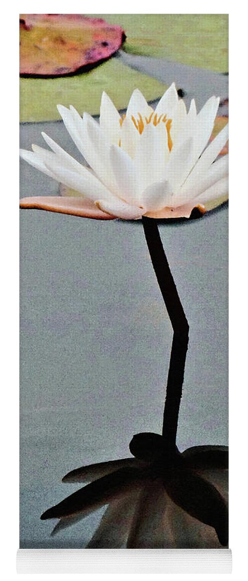 Landscape Yoga Mat featuring the photograph A Perfect Flower 300 by Sharon Williams Eng