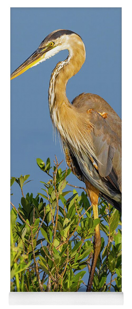 R5-2653 Yoga Mat featuring the photograph A Proud Heron by Gordon Elwell